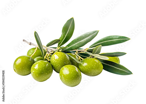 Wallpaper Mural Olives with branch and leaves leaf produce green isolated on transparent background, cut out, PNG Torontodigital.ca