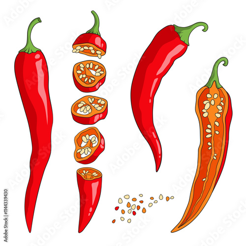 Red Chile pepper cut into pieces lengthwise and crosswise, spicy cayenne pepper with seeds, vector illustration