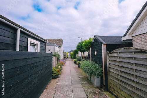 Houses on Street in Scheendijk, Netherlands