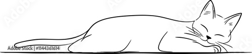 A minimalist line art illustration of a sleeping cat, capturing the essence of relaxation and tranquility in a simple design.