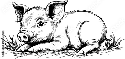 A charming illustration of a young pig resting on grass, showcasing its cute features and farmyard setting.