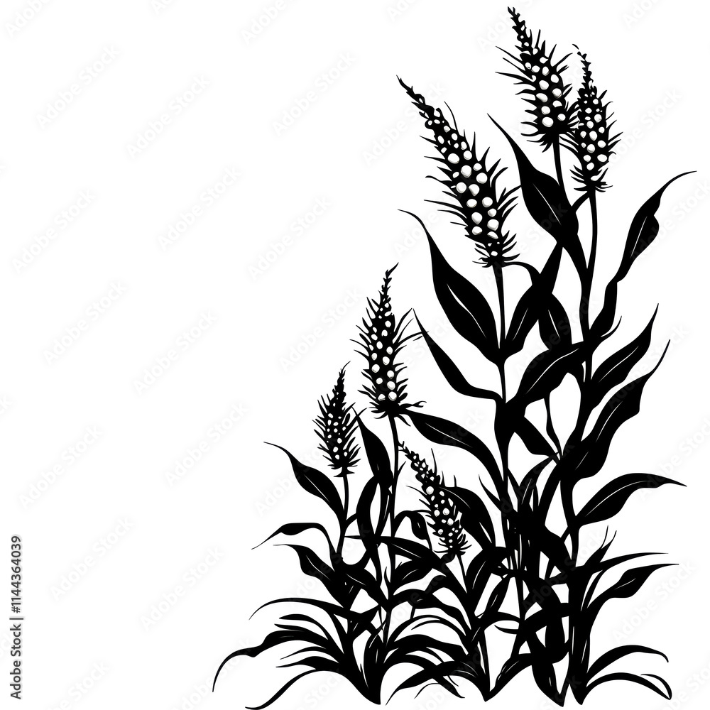 Black and white silhouette of tall grasses. Black and white silhouette of tall grasses.