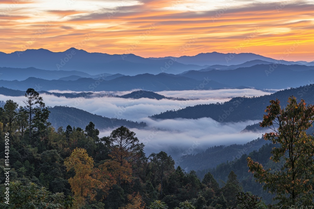 As the sun rises at Pha Tang, Chiang Rai, the hills are shrouded in mist, creating a sea of fog under a cloudy sky. As the sun rises at Pha Tang, Chiang Rai, the hills are shrouded in mist, creating a sea of fog under a cloudy sky.