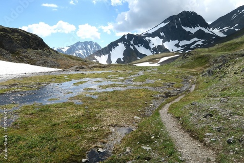Εκτύπωση καμβά Mountains with lingering snow near the peak of Crow Pass Trail, Anchorage, Alask