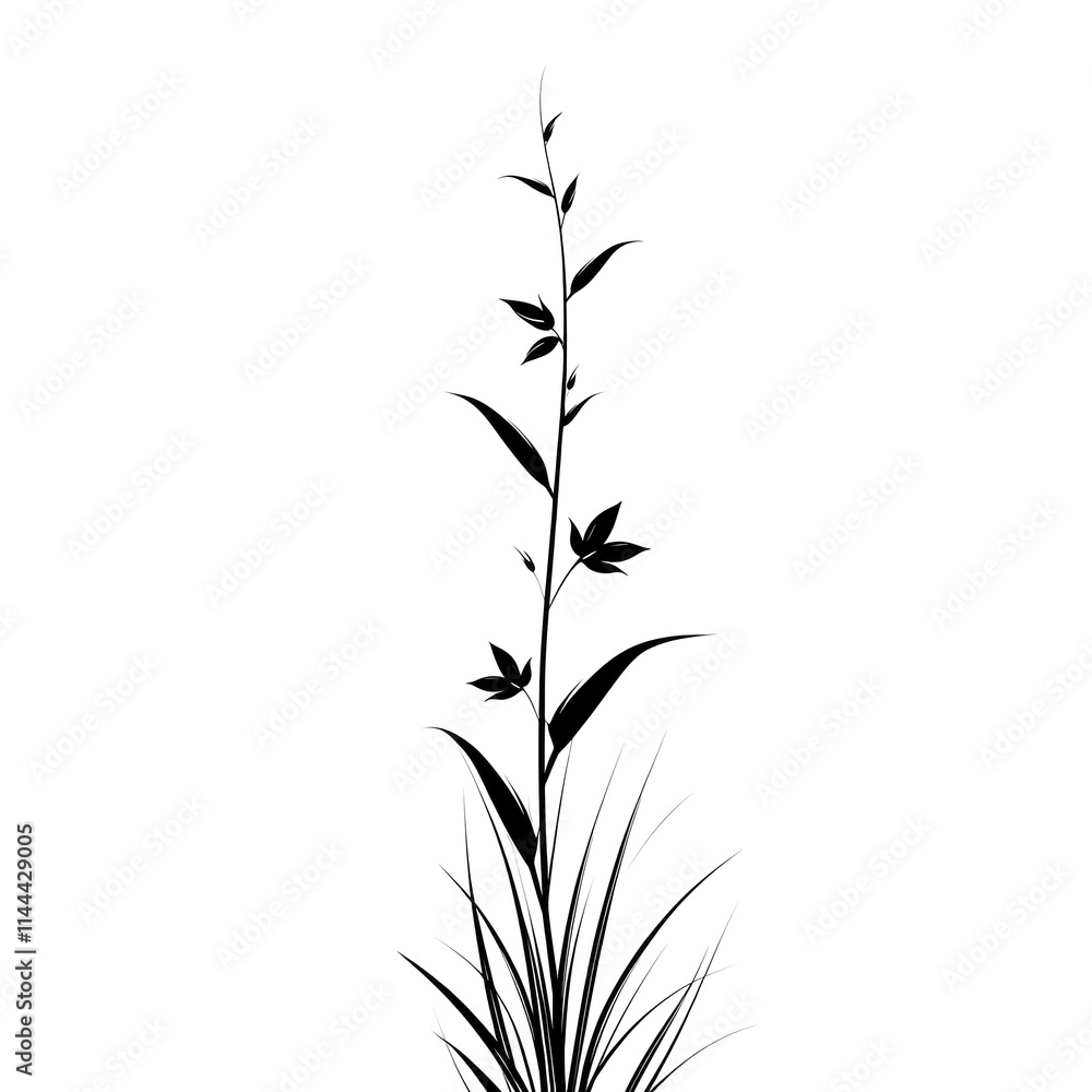 Naklejka premium Silhouette of a tall grass with leaves.