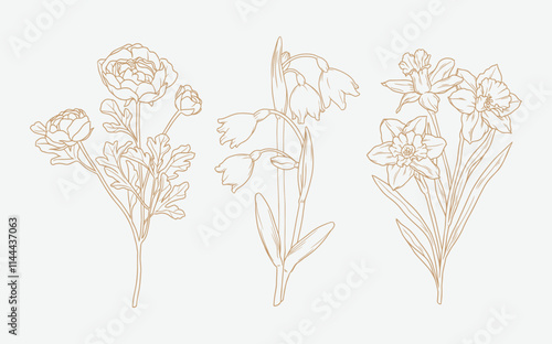 Collection of Hand Drawn Winter Flowers Vector