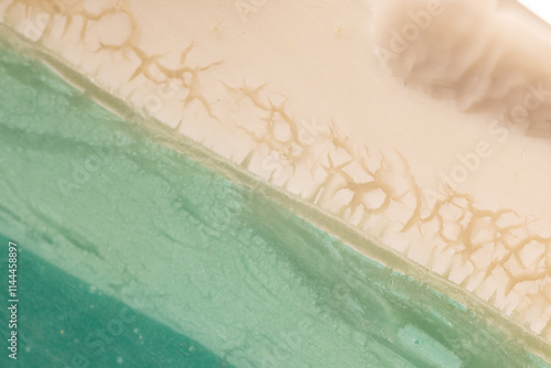 Abstract Green and Beige Te...