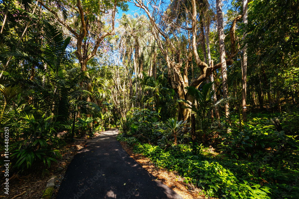 Obraz premium City Botanic Gardens in Brisbane Australia