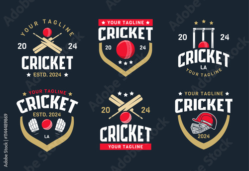 Set of cricket Logo sign badge. Cricket logo with shield background vector design collection