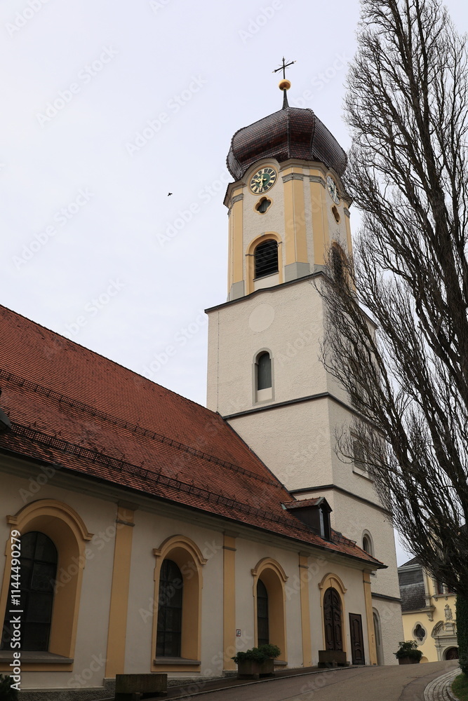 Fototapeta premium Blick in die Altstadt von Sigmaringen auf der Schwäbischen Alb 