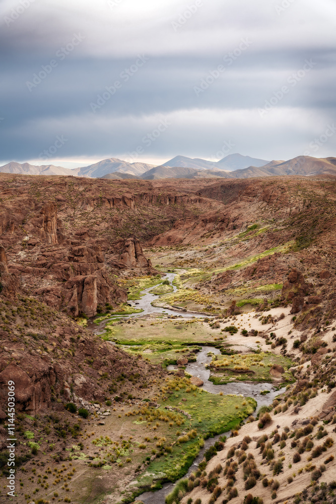 Obraz premium River and Road in the Altiplano Bolivia