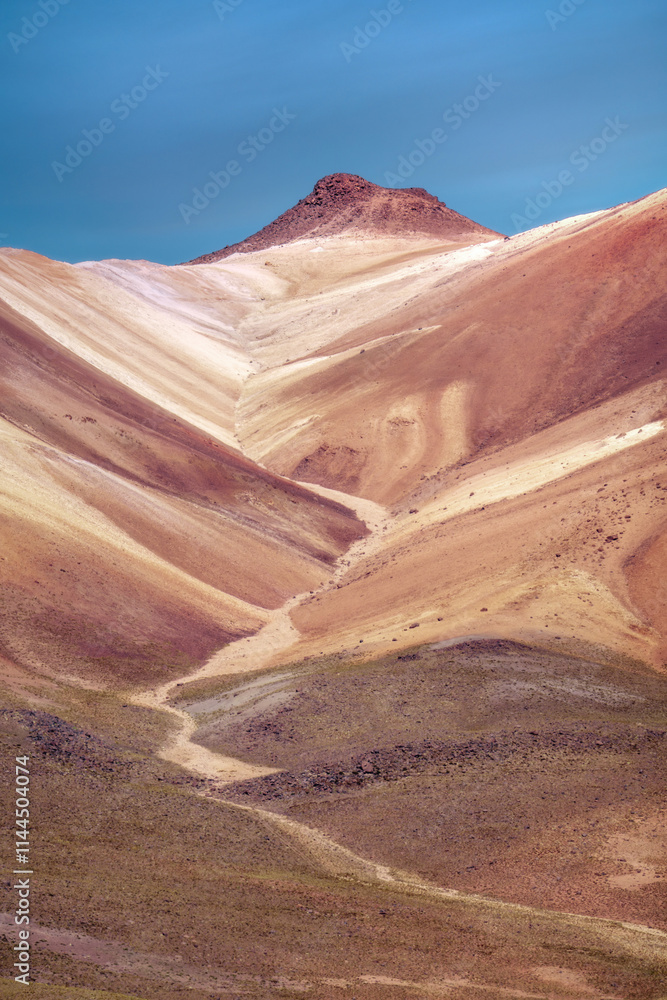 Altiplano in Bolivia, South America