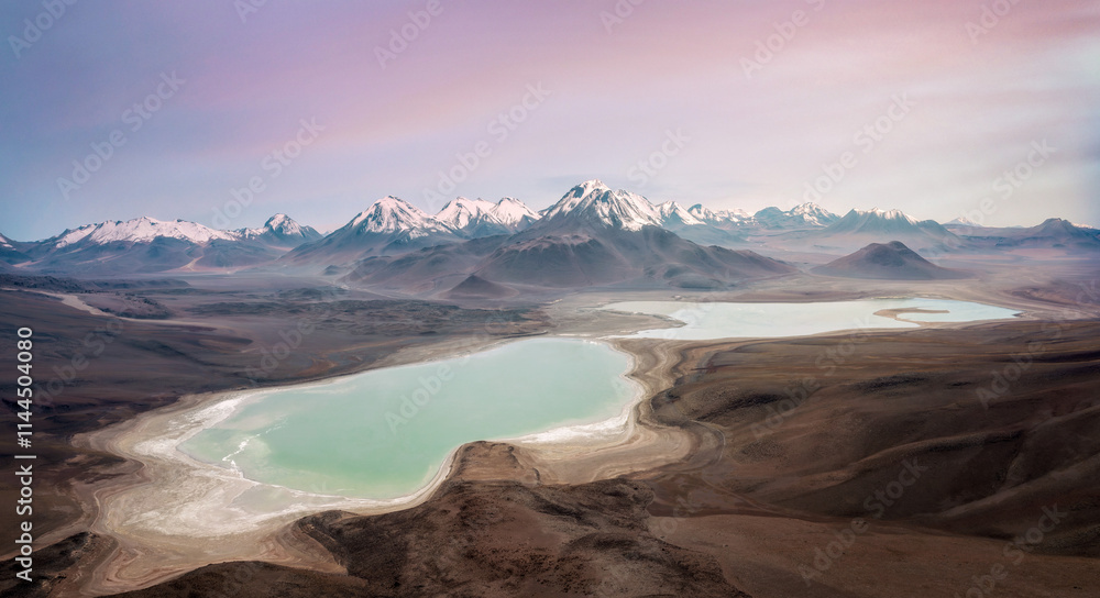 Laguna in the Altiplano in Bolivia