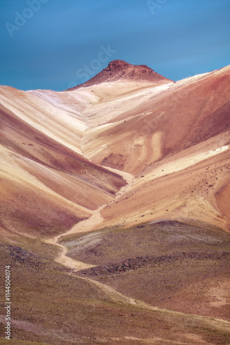 Obraz na płótnie Altiplano in Bolivia, South America w salonie