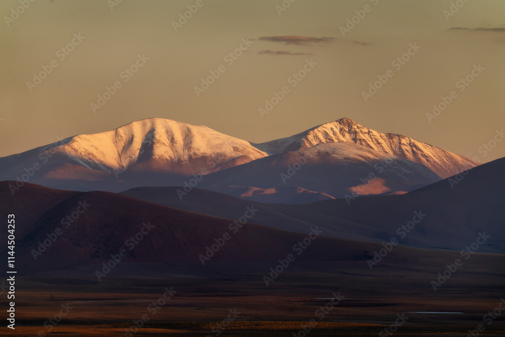 Altiplano in Bolivia, South America
