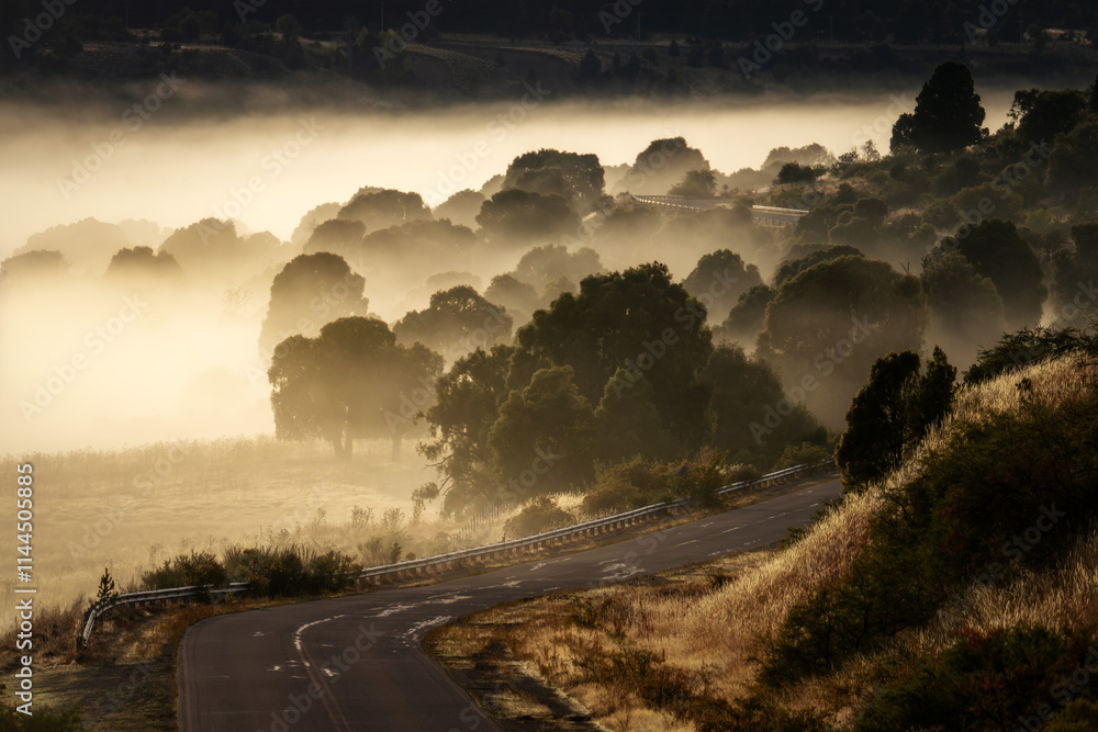 Sunrise and Morning Mist in Esquel Argentina