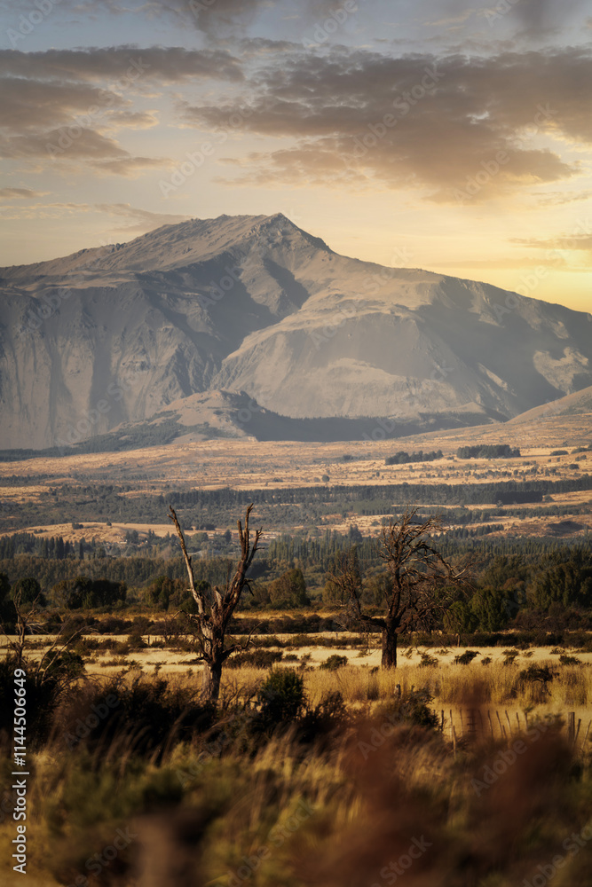Golden Fields during Sunset in Patagonia Argentina