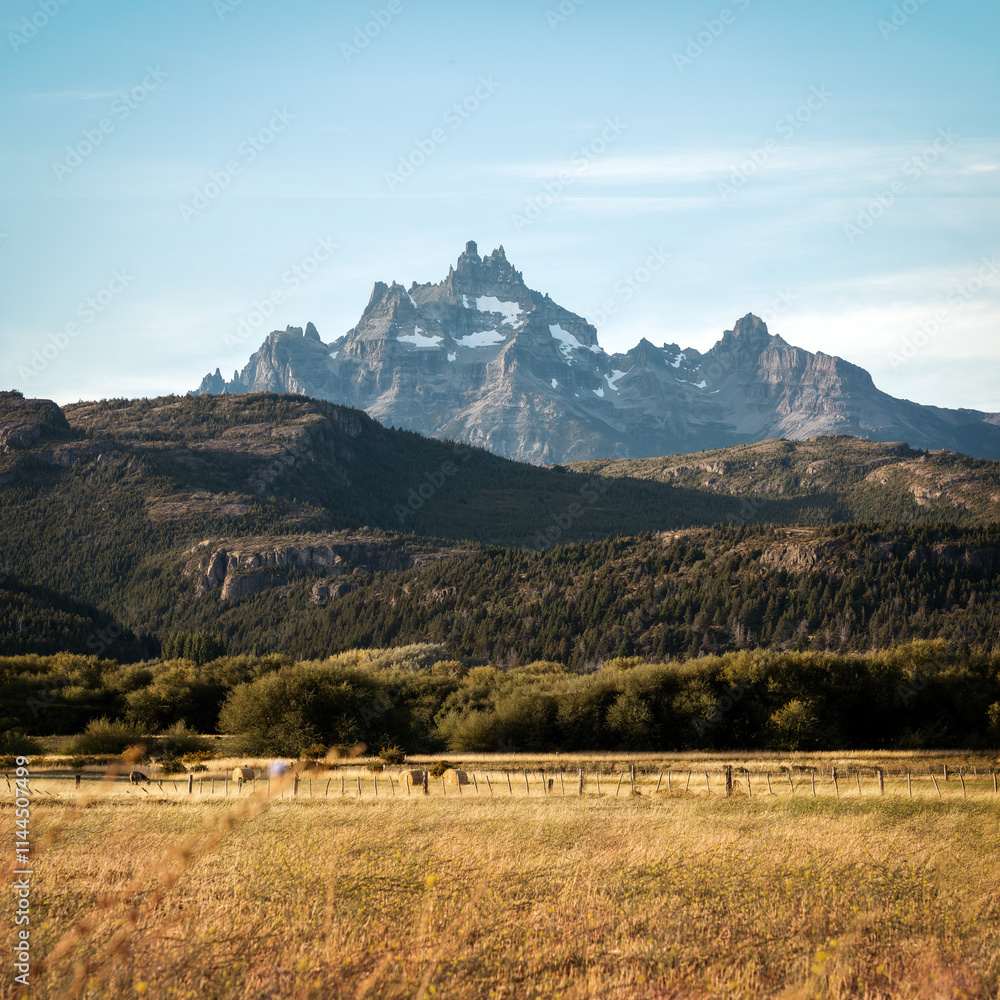 Golden Fields during Sunset in Patagonia Argentina