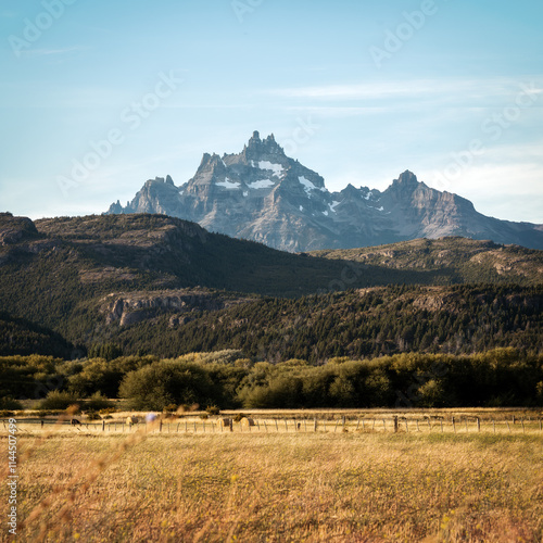 Golden Fields during Sunset in Patagonia Argentina