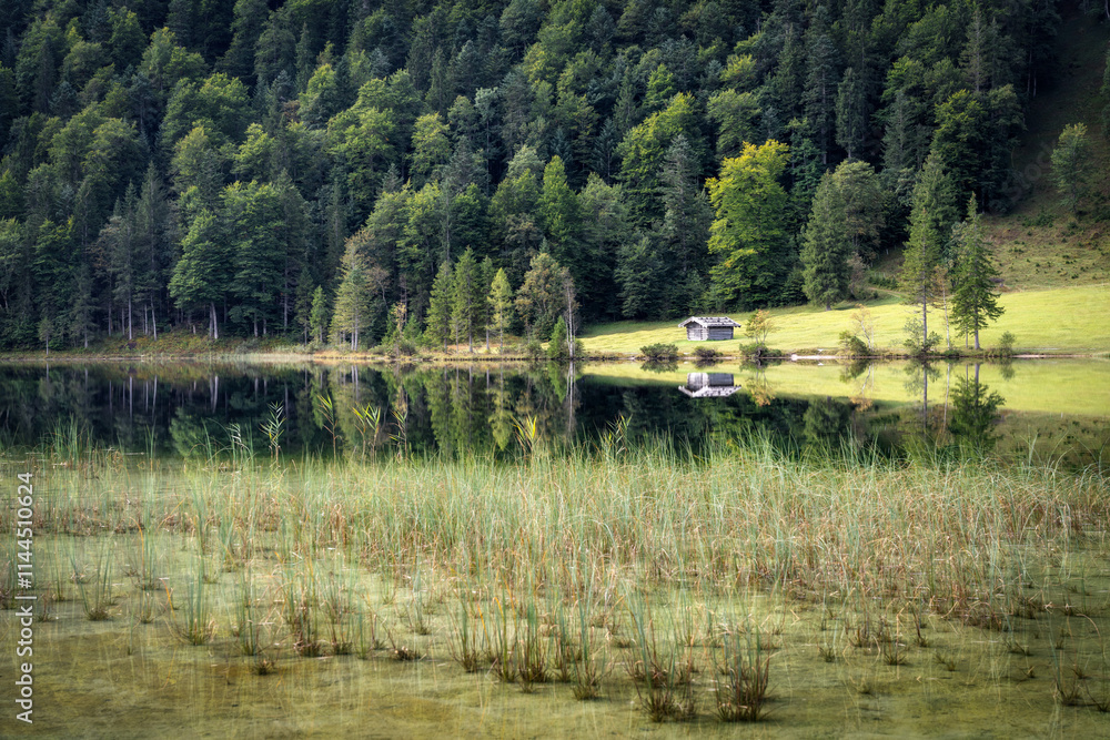 Lake in the Bavarian Alps, Germany