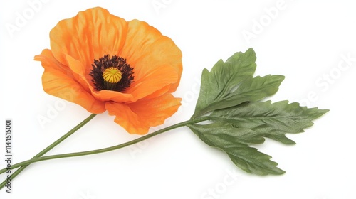 close up of an orange poppy flower with green leaves