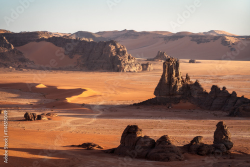 Obraz na płótnie Sahara Desert Tadrart Rouge in Southern Algeria w salonie