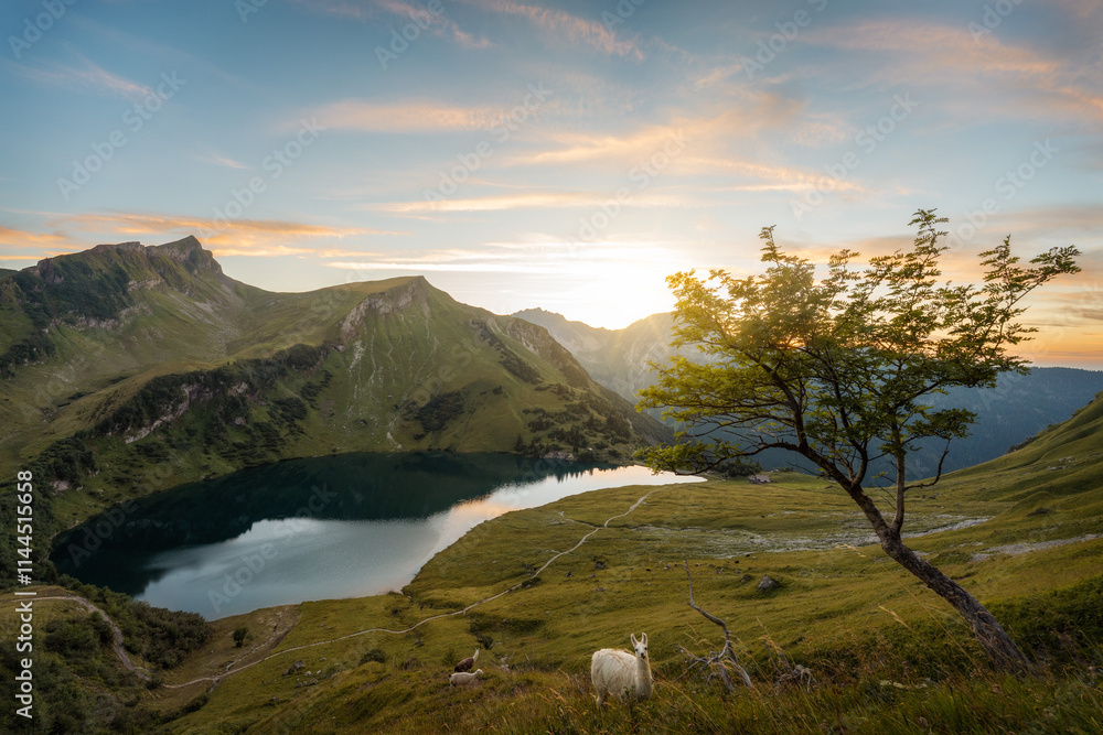 Alpine Lake in Austrian Alps