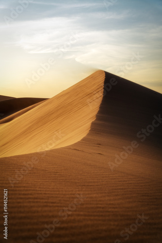 Obraz na płótnie Gobi Desert in Central Mongolia w salonie