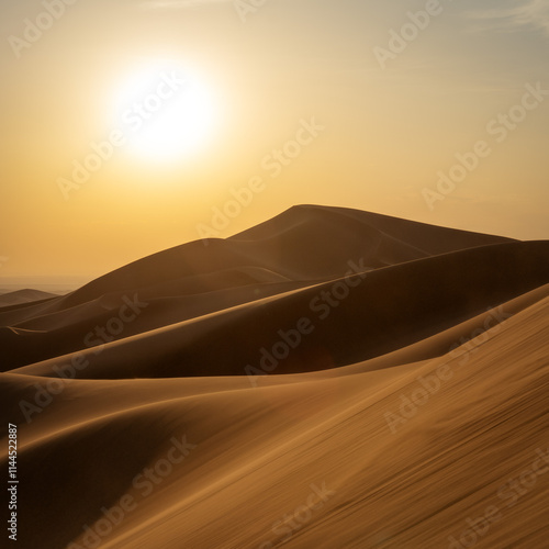 Obraz na płótnie Gobi Desert in Central Mongolia w salonie