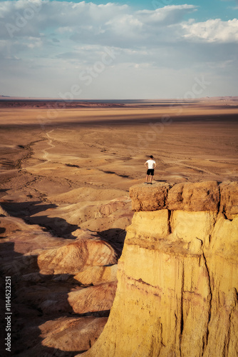 Obraz na płótnie Gobi Desert in Central Mongolia w salonie