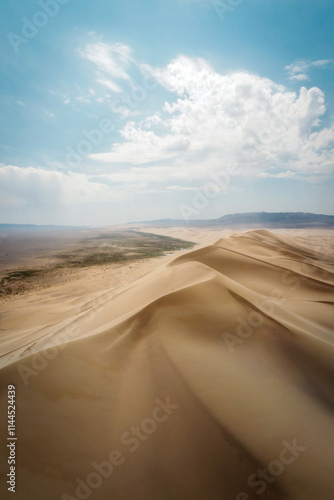 Obraz na płótnie Gobi Desert in Central Mongolia w salonie