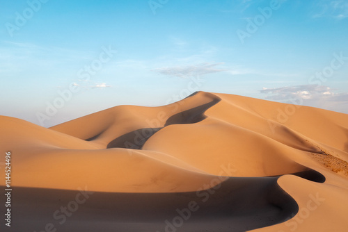 Obraz na płótnie Gobi Desert in Central Mongolia w salonie