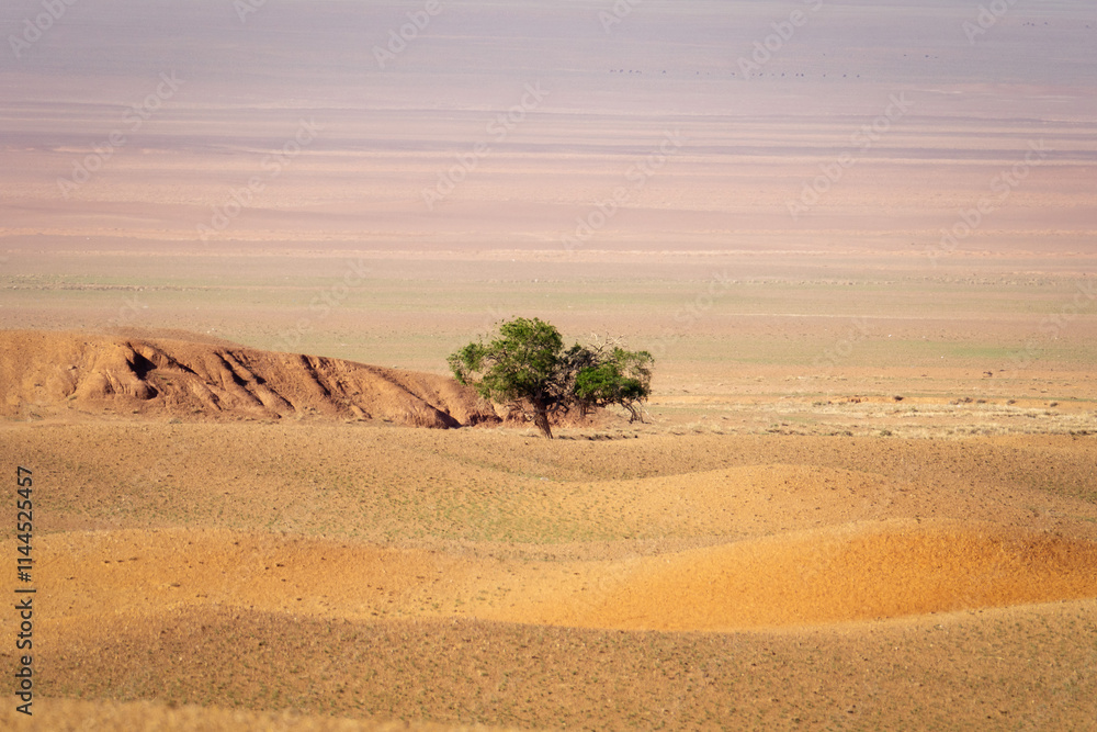 Gobi Desert in Central Mongolia