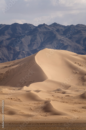 Obraz na płótnie Gobi Desert in Central Mongolia w salonie
