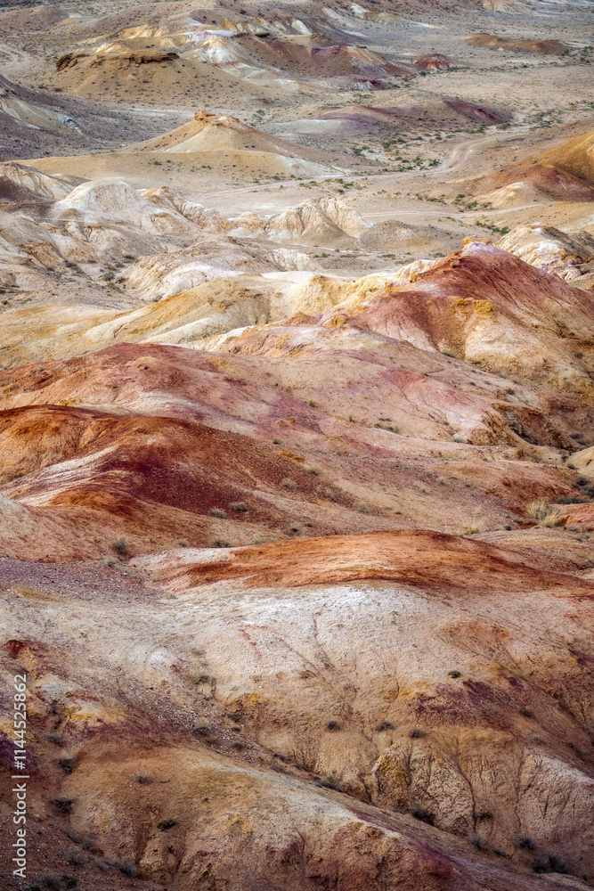 Gobi Desert in Central Mongolia