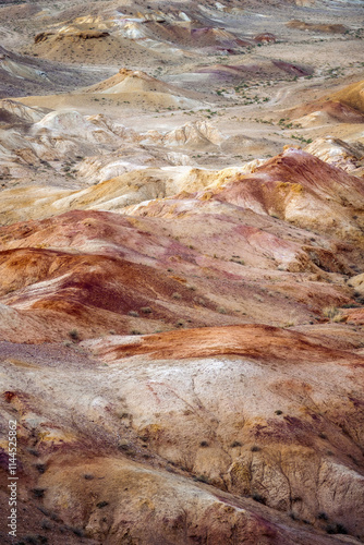 Gobi Desert in Central Mongolia photo