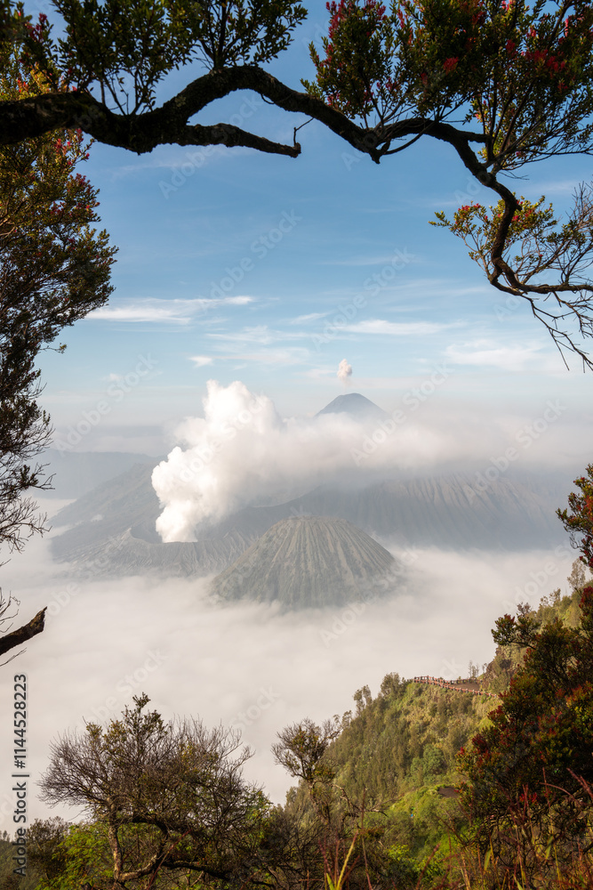 Mount Bromo Volcano on Java Indonesia