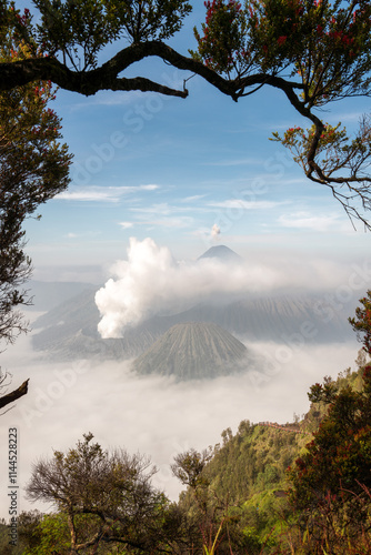 Obraz na płótnie Mount Bromo Volcano on Java Indonesia w salonie