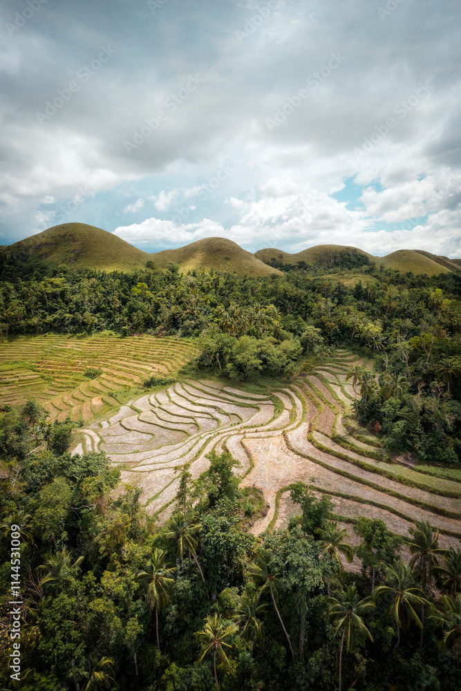 Chocolate Hills in Bohol Philippines