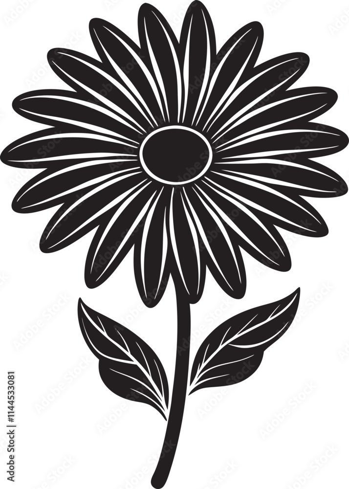 Fototapeta premium Isolated daisy line art floral clipart silhouette 