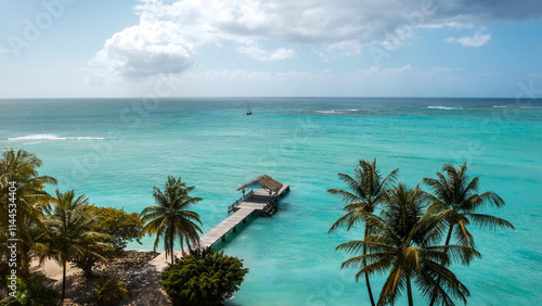 Caribbean Turquoise Water Sand Beach with Palm Trees