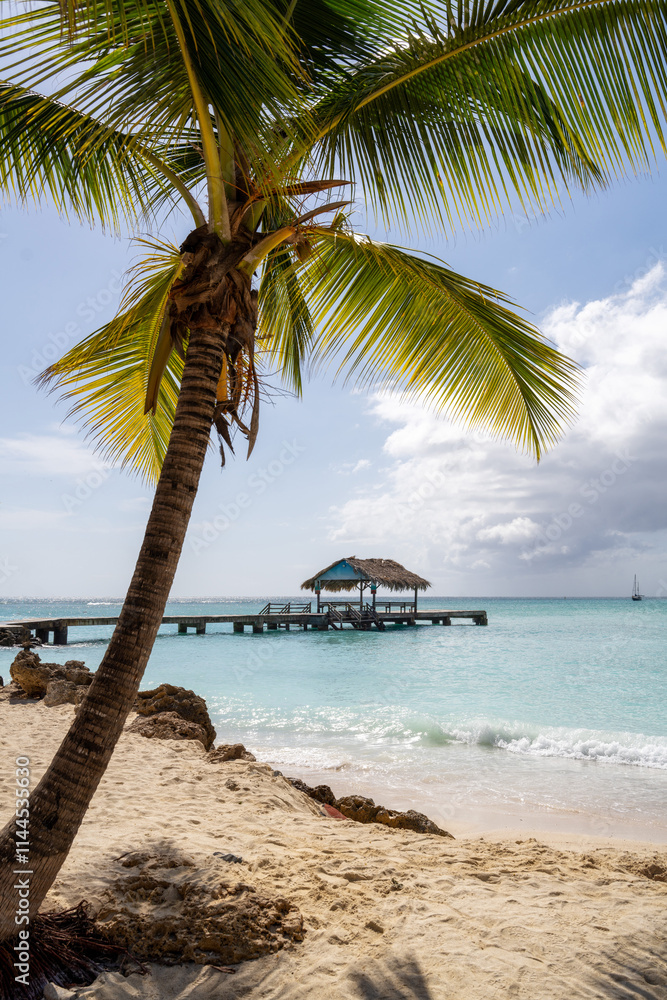 Caribbean Turquoise Water Sand Beach with Palm Trees