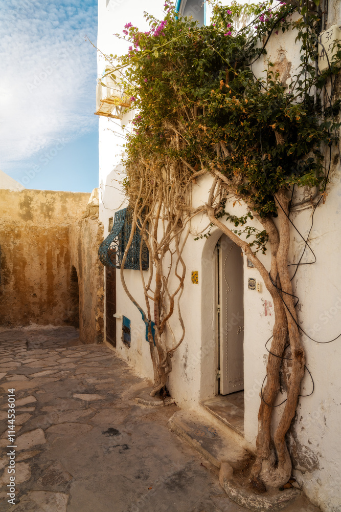Sidi Bou Said In Tunis, Tunesia (Text says: In the name of God, the world is at peace with God)
