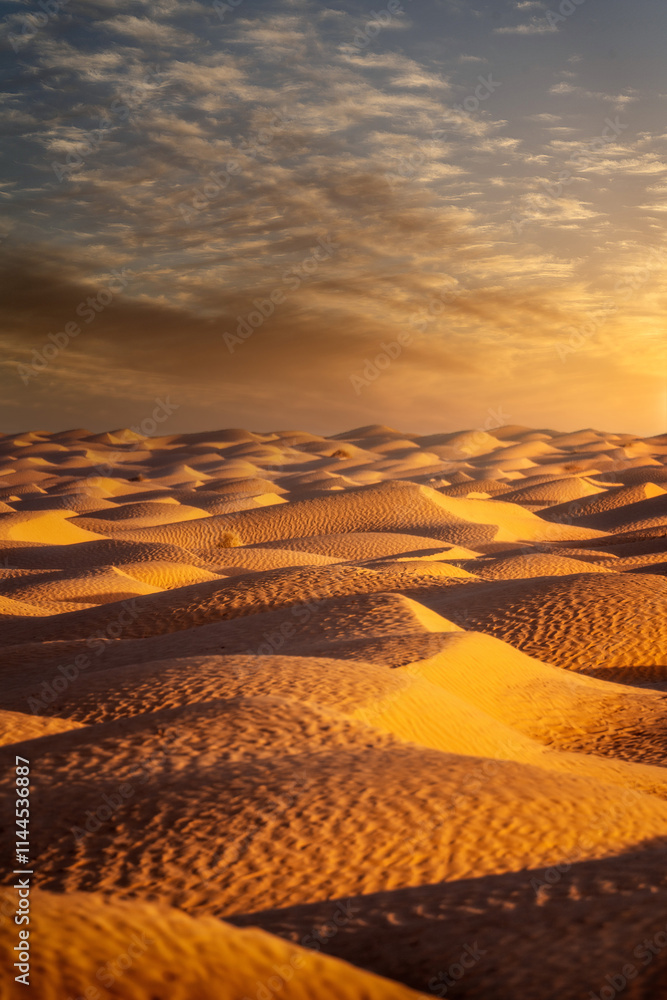 Sahara Desert Sunset and Road in Tunesia