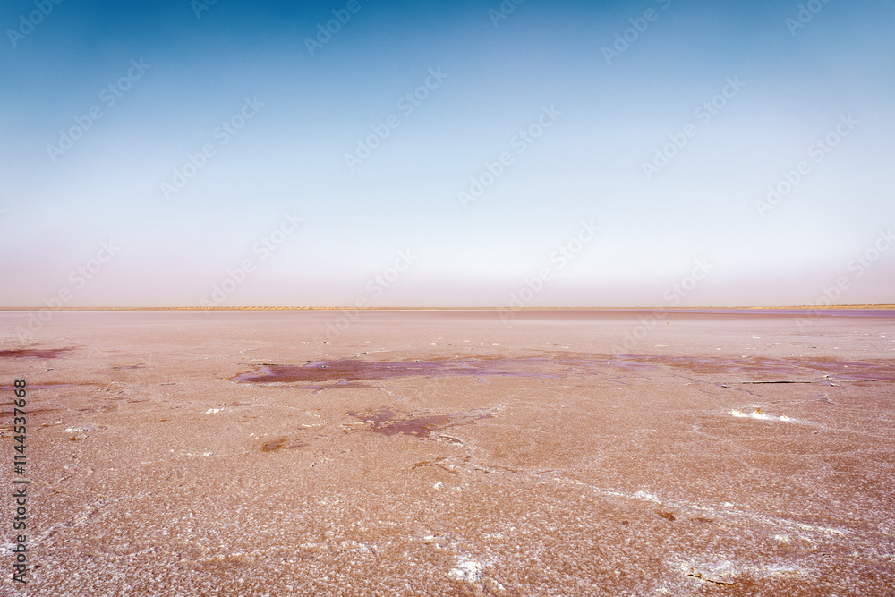 Dry Pink Salt Lake in Tunisia