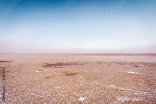 Obraz na płótnie Dry Pink Salt Lake in Tunisia w salonie