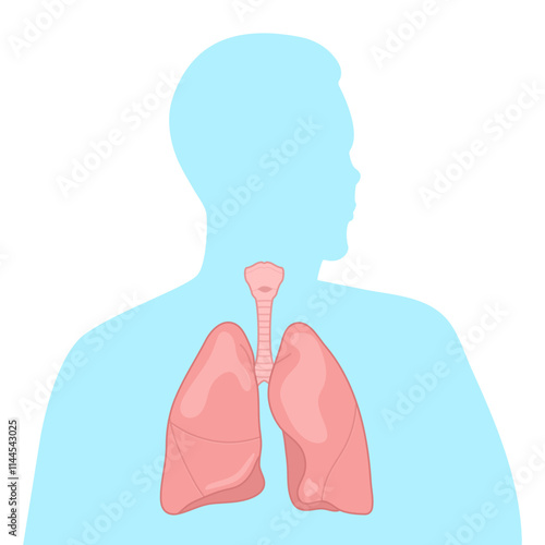 Silhouette of healthy lungs. Vector illustration.