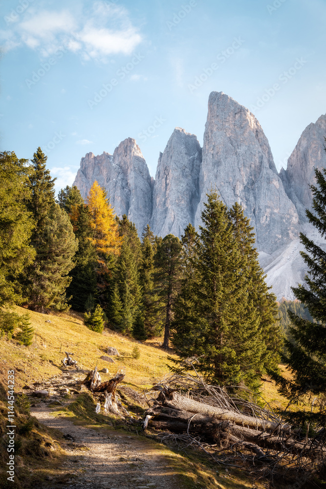 Geisleralm in the Italian Dolomites