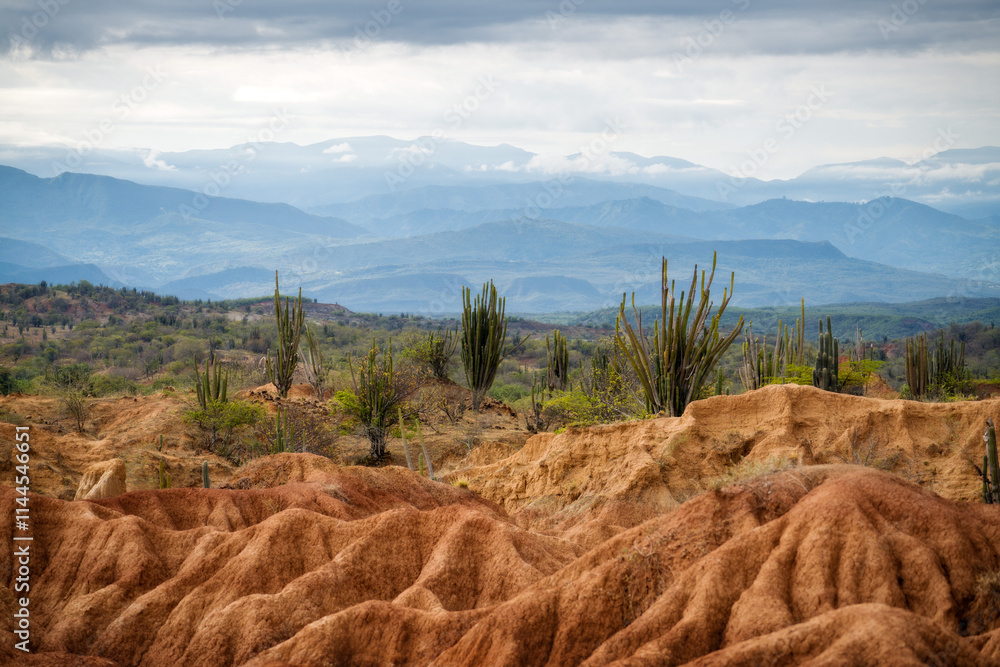 Tatacoa Desert in Southern Colombia