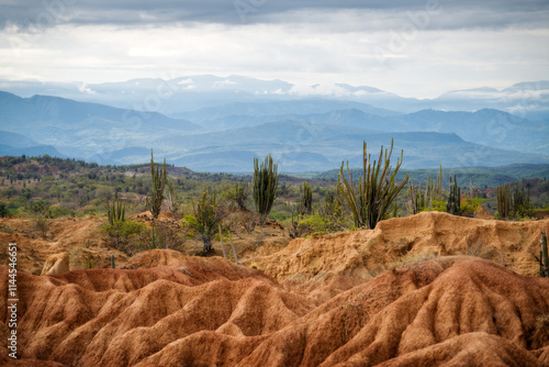 Obraz na płótnie Tatacoa Desert in Southern Colombia w salonie